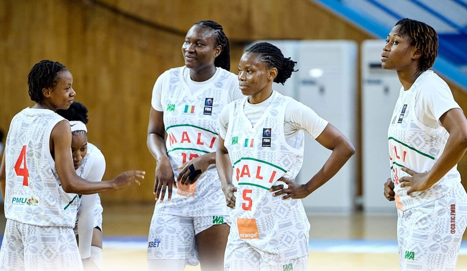 Afrobasket féminin 2025 : Mali
