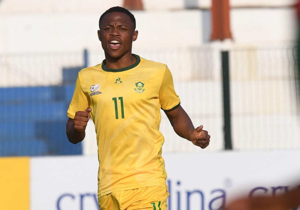 La composition de départ de l'Afrique du Sud contre la France