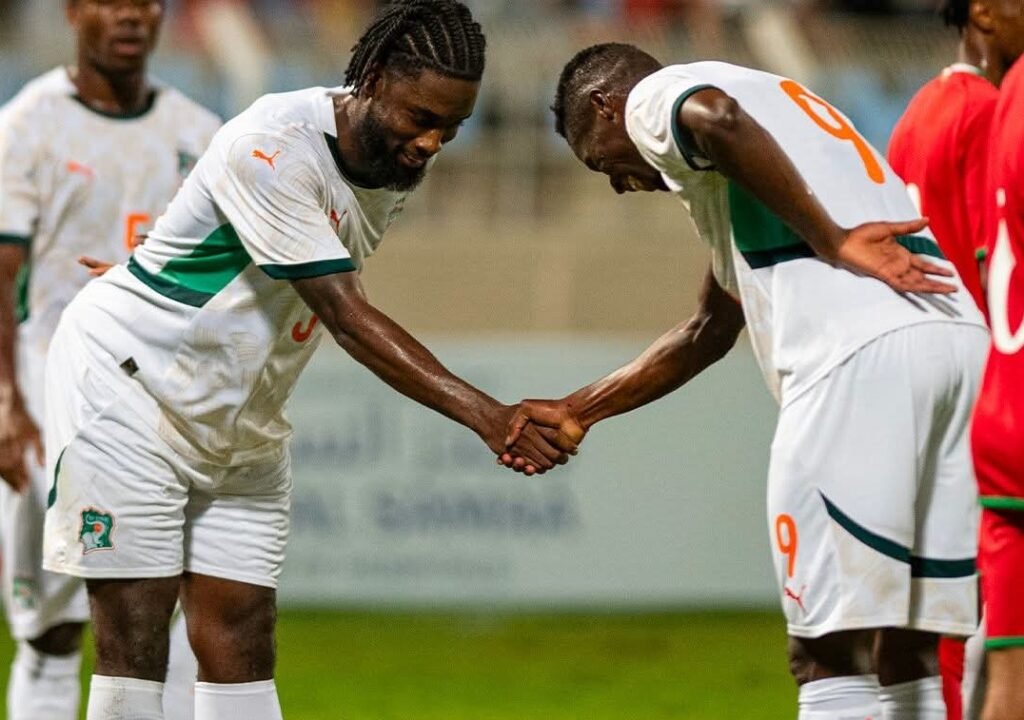 Côte d'Ivoire : Les Éléphants tiennent une victoire