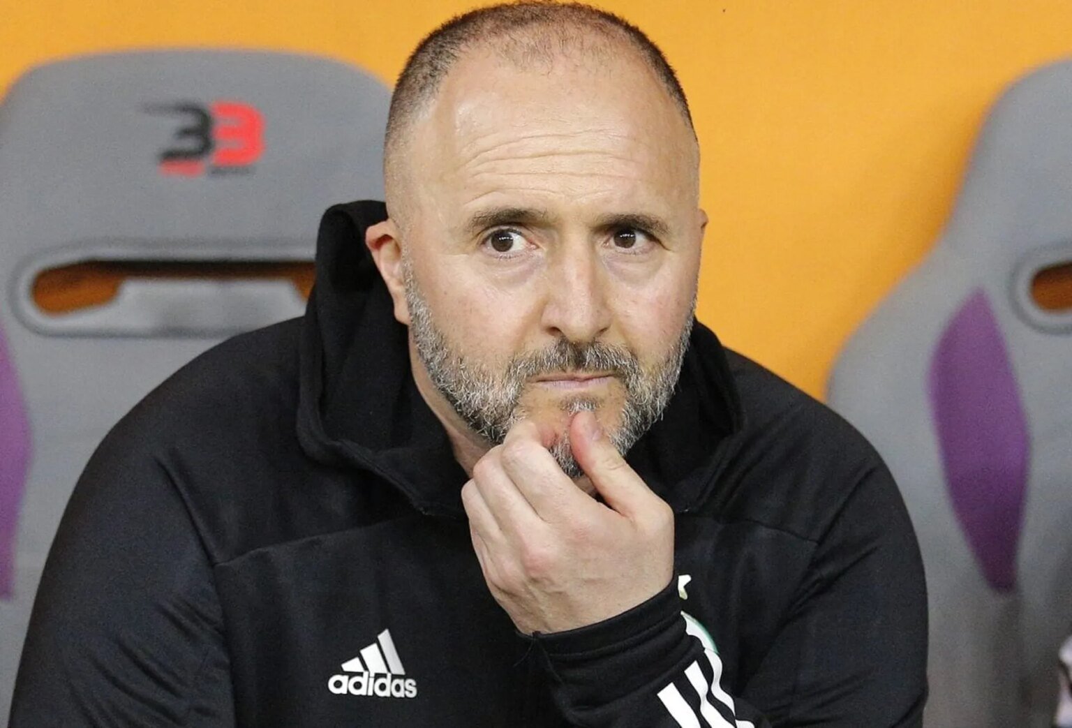 Djamel Belmadi n’a pas touché un euro pour son limogeage