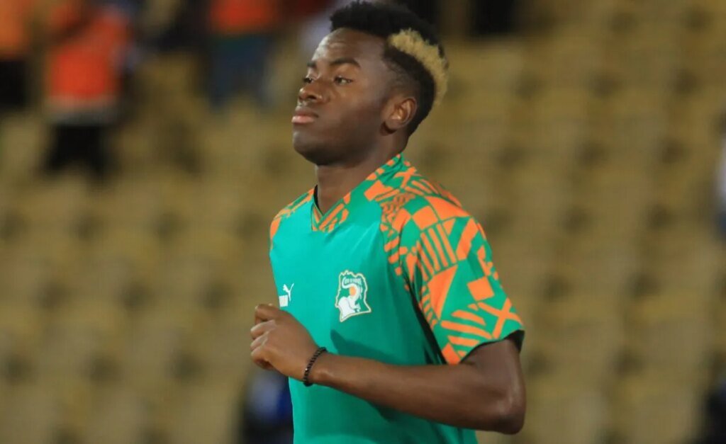 Cote d'Ivoire : où regarder le match des Eléphants ?